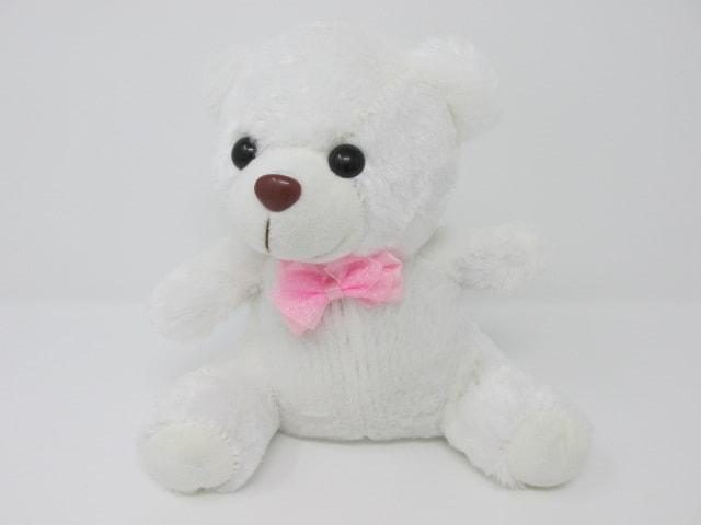 Para4ce Teddy POD
